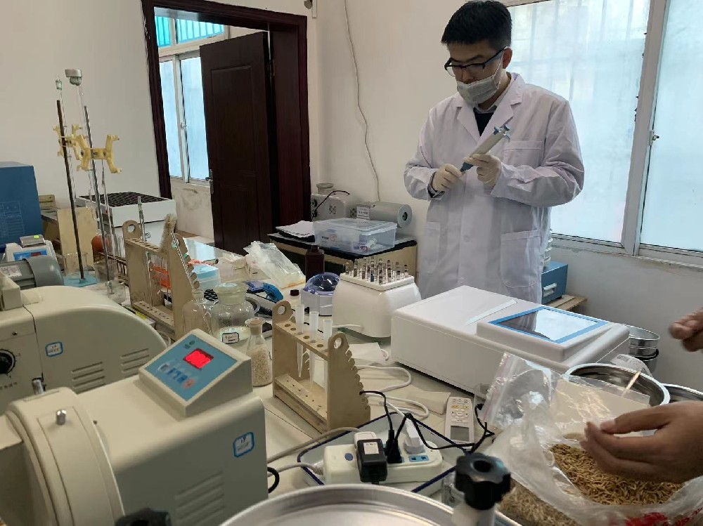 貴陽市開陽縣國家糧食儲備庫采購华体汇hth体育稻穀新鮮度檢測儀